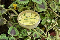 Devapi Hand Craft Lemon Soap - 90g Devapi Hand Craft Lemon Soap - 90g